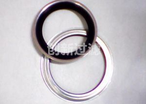 Stainless steel fittings and sealing rings